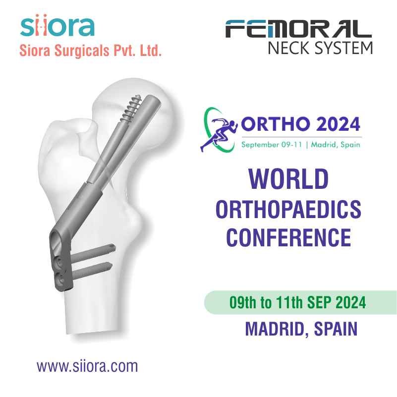 Ortho 2024