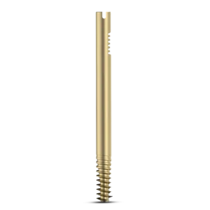 Intertan Nail Cannulated LAG Screw – Dia. 11mm – Titanium