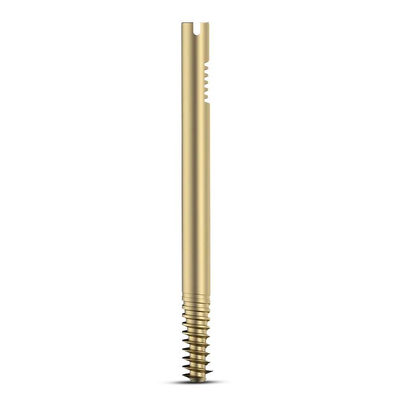 Intertan-Nail-Cannulated-LAG-Screw-Dia.-11mm-Titanium