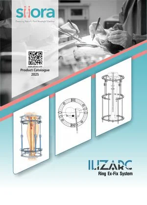 llizarc-catalog-cover