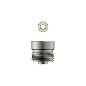 Tarsofix™ End Cap for Ankle Nail – Titanium