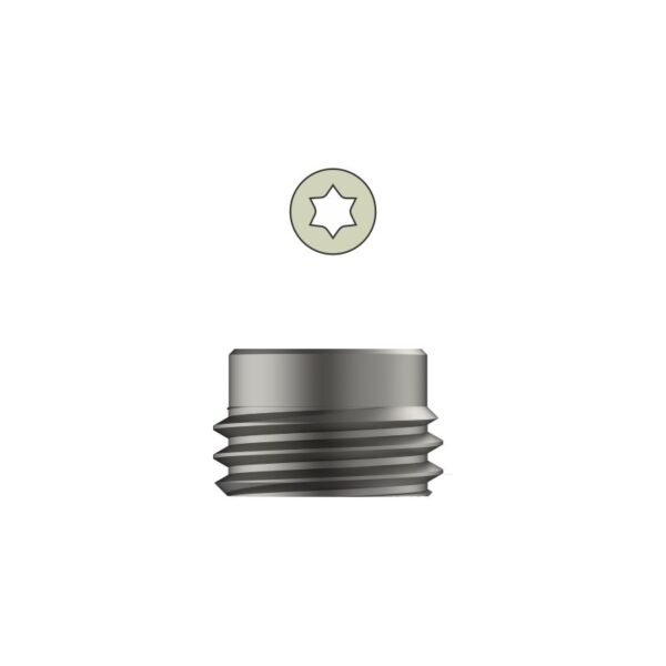Tarsofix™ Inner Set Screw for Ankle Nail - Titanium