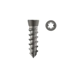 ACDF Standalone Locking Screw Self Drilling – Titanium