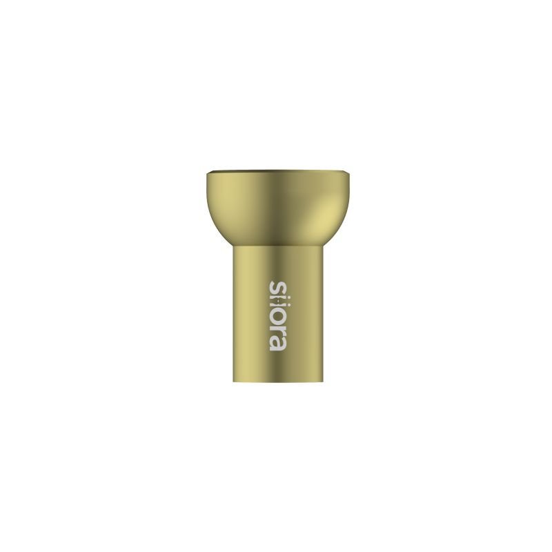 Condyler Screw Cap for Multilock Retrograde Femoral Nail - Titanium