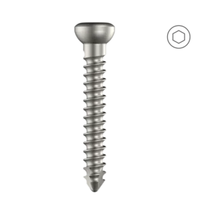 Cortical Screw 2.7mm Self Tapping (HEXDRIVE) – S.S.