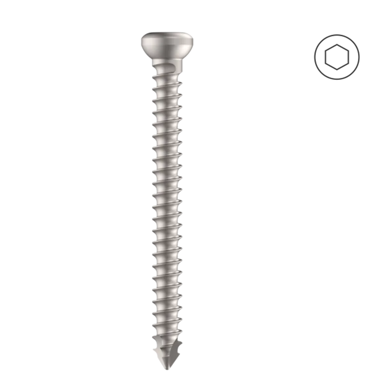 Cortical Screw 4.5mm Self Tapping (HEXDRIVE) - S.S.