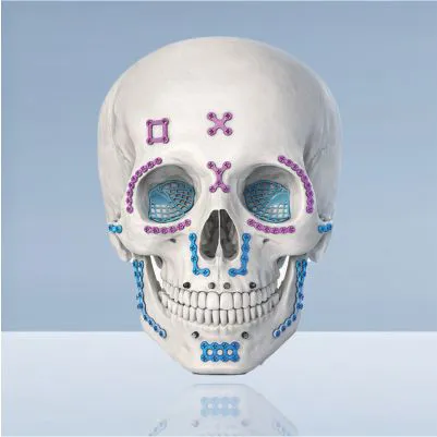 Maxillofacial front