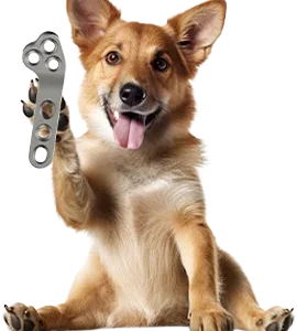 Veterinary Orthopedic Implants